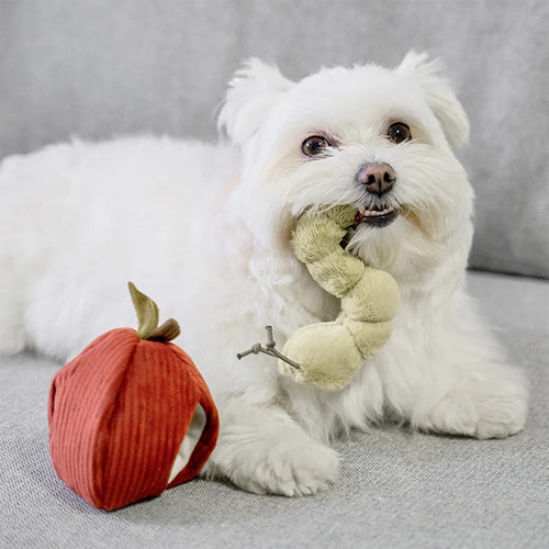 Schnüffelspielzeug APPLE  Apfel