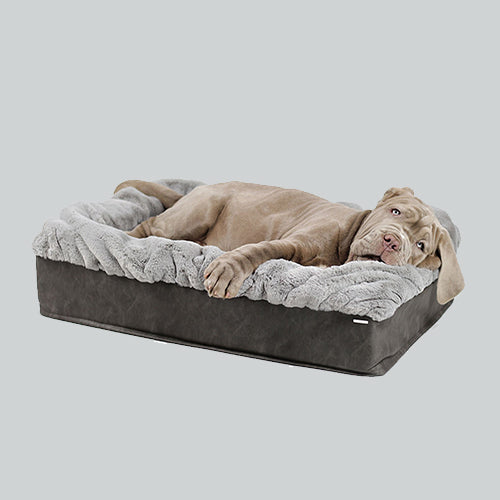 Hundebett Buddelbox