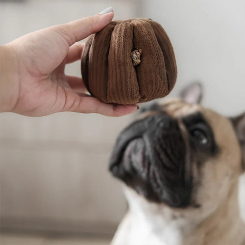 Schnüffelspielzeug CANELE