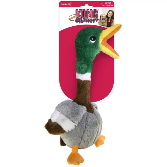 Spielzeug KONG Duck