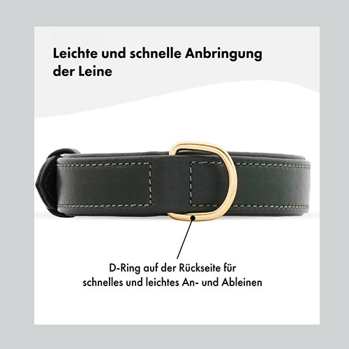 Halsband Dark Moss (Waldgrün)