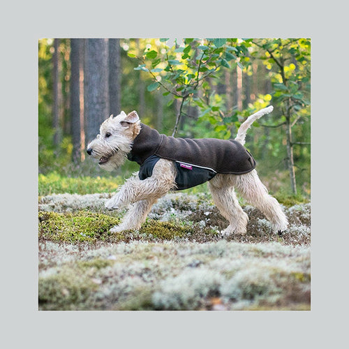 Hundepullover Jumppa