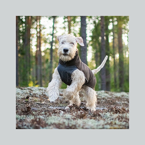 Hundepullover Jumppa