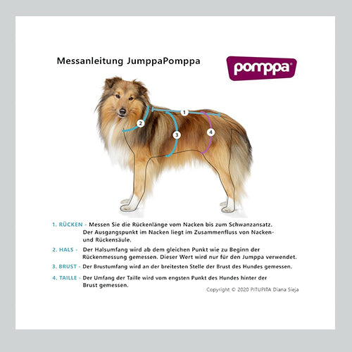 Hundepullover Jumppa