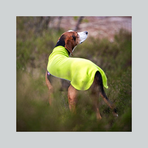 Hundepullover Jumppa