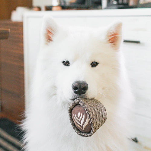 Schnüffelspielzeug Latte Pop