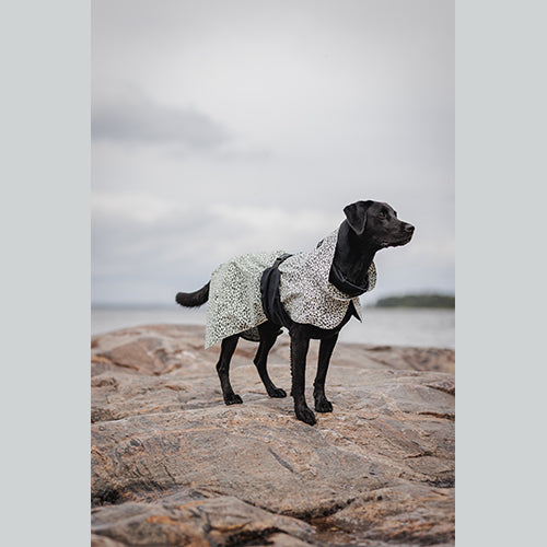 Hundemantel Raincoat 2.0