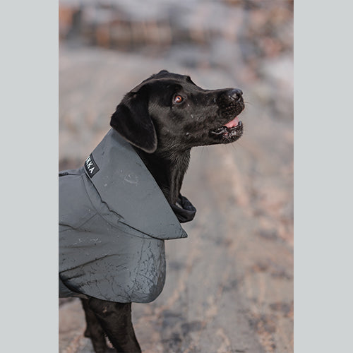 Hundemantel Visibility Raincoat Dark