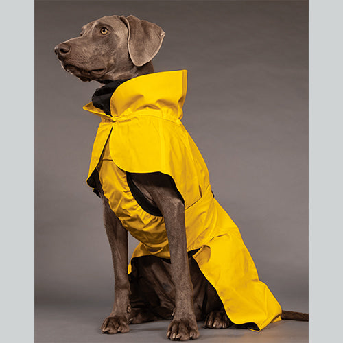 Hundemantel Visibility Raincoat Lite Yellow