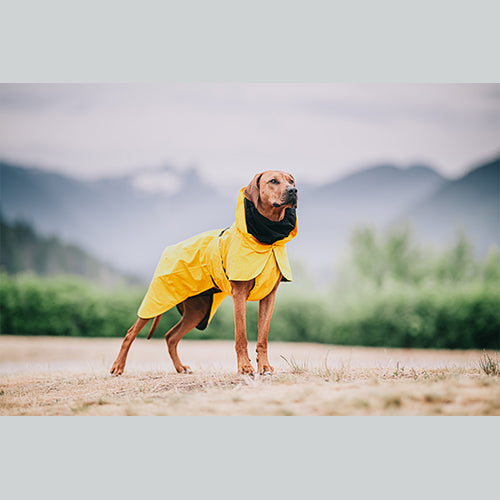 Hundemantel Visibility Raincoat Lite Yellow