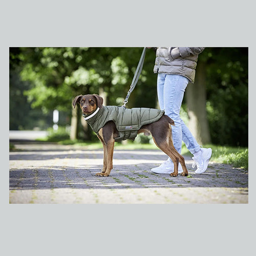 Hundemantel Steppjacke Cosy