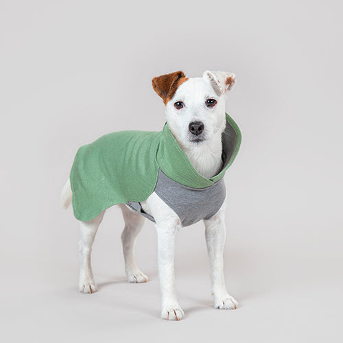 Hunde Recovery Winter Shirt