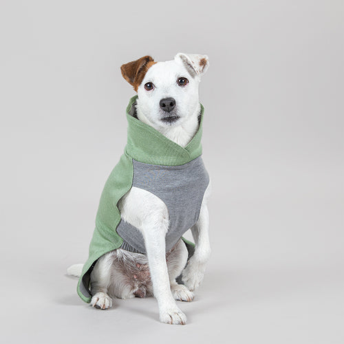 Hunde Recovery Winter Shirt