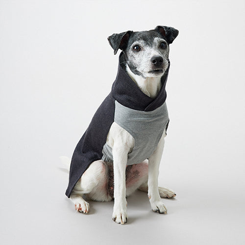 Hunde Recovery Winter Shirt