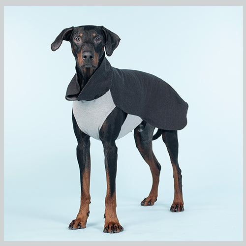 Hunde Recovery Winter Shirt