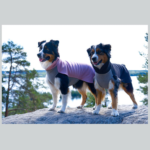 Hunde Recovery Winter Shirt